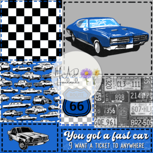 You've Got a Fast Car