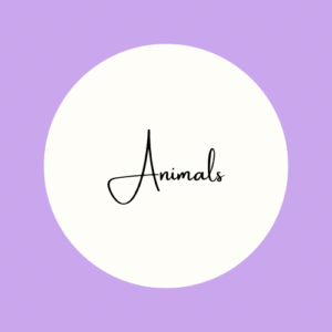 Animals
